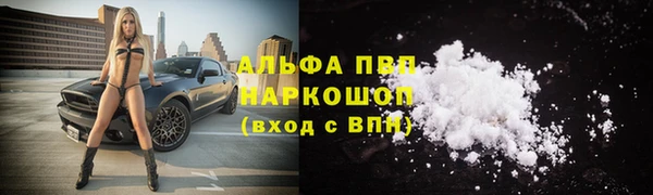 ПСИЛОЦИБИНОВЫЕ ГРИБЫ Слюдянка