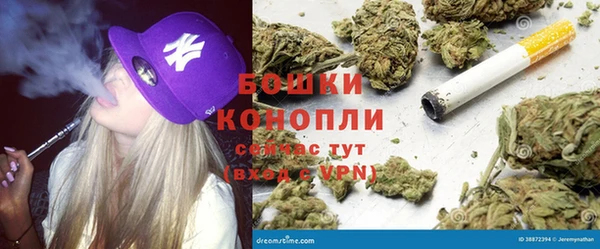 спиды Арсеньев