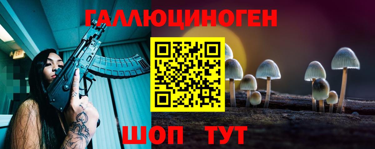 Баксан  Галлюциногенные грибы MAGIC MUSHROOMS  Вход с VPN 